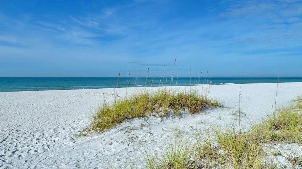 Beach Palms- Unit 102 Clearwater Beach Exteriér fotografie